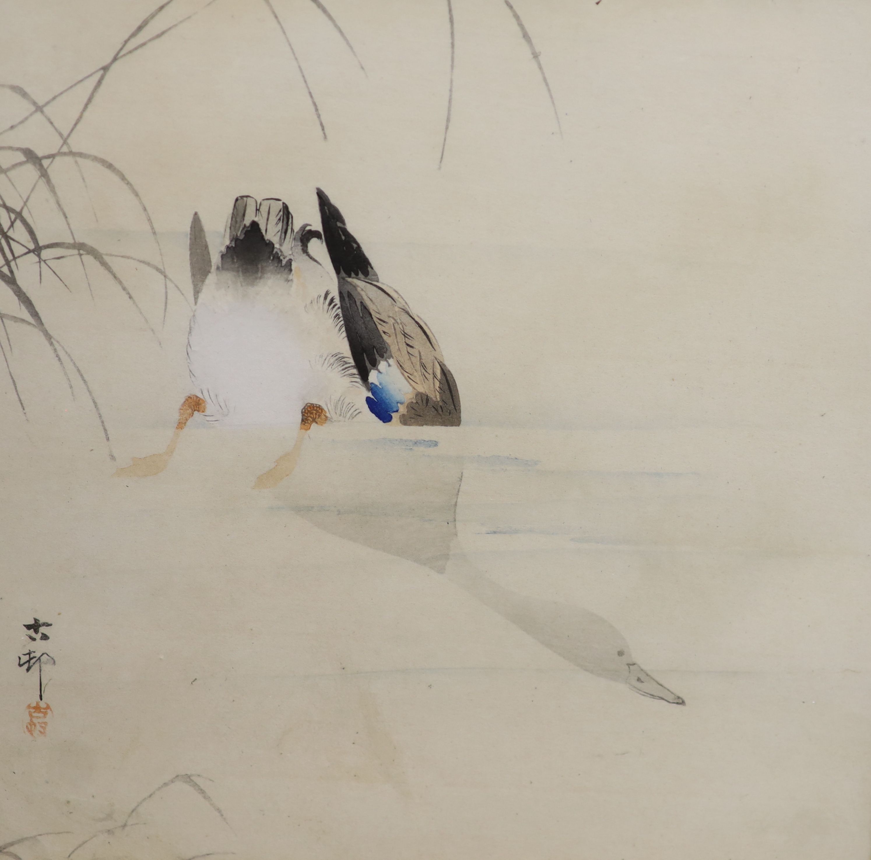 Ohaca Kosan, woodblock print, Diving goose, 21.5 x 21.5cm